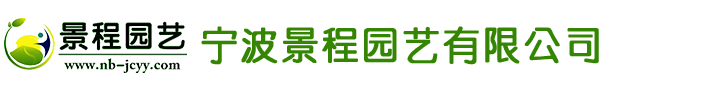 不銹鋼磁力泵,氣動(dòng)隔膜泵